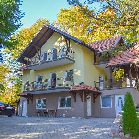 Vila Savinka Zlatibor Exteriör bild