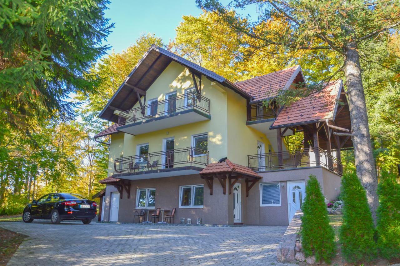 Vila Savinka Zlatibor Exteriör bild