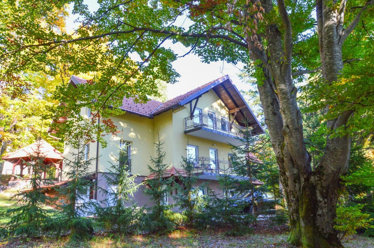 Vila Savinka Zlatibor Exteriör bild